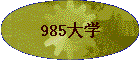985��ѧ
