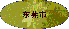 ��ݸ��