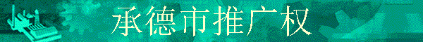�е����ƹ�Ȩ