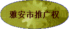 �Ű����ƹ�Ȩ