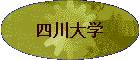 �Ĵ���ѧ