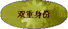 ˫������