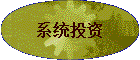 ϵͳͶ��