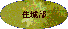ס�ǲ�